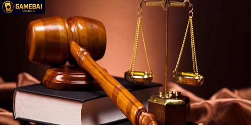 Vai trò của chính sách điều khoản